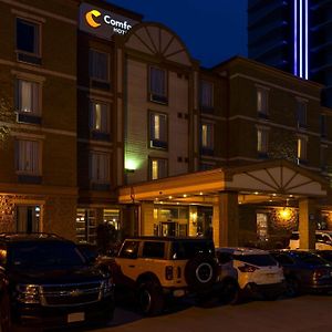 Comfort Hotel Bayer'S Lake